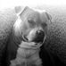Thomas De Coster - Facebook