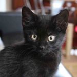 Thomas DeFoe - @zaphod2263 - Instagram