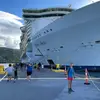 thomas_stedeford - @thomas_stedeford - TikTok