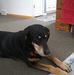 Tom DeForest - Facebook