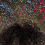 Thomas DeLeon - @ninguntomy - Instagram