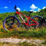 @thomasdeloziere2 - Instagram