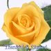 Thomas Dendy Charita Dendy - Facebook