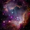 Thomas Delnegro - @thomas.delnegro - TikTok