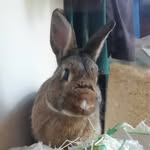 Thomas Denham-Everett - @thomas_de_4472 - Instagram