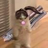Thomas Derrickson - @thomasderrickson - TikTok