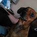 Tom Deshane - Facebook