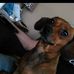 Tom Deshane - Facebook