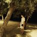Thomas Desmet - Facebook