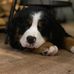 Thomas Desmet - Facebook
