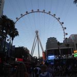 Thomas Detrick - @thomas_detrick - Instagram