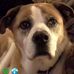 Thomas DeVeau - Facebook