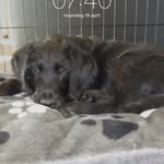Thomas De Vries - @thomasde_vries - Instagram