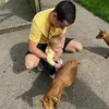 Thomas de Vries - @thomasdevries62 - TikTok