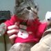 Thomas DeVries - Facebook