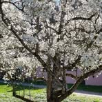 Thomas Diercks - Facebook