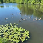 Thomas Dillehay - @thomasdillehay - Instagram