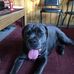 Thomas Dillow - Facebook