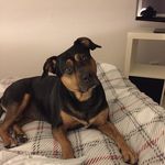 Thomas Dirks - @tommy290480 - Instagram