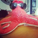 Thomas Disbrow - @shitbuff83 - Instagram