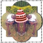 Thomas Dock - @dockthomas - Instagram