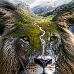 Thomas Dominick - @tdominick609 - Instagram