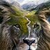 Thomas Dominick - Facebook
