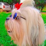 Thomas Dominick Nascimento - @thomassdominick - Instagram