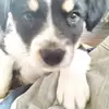 Thomas Dotson - @thomas.dotson1 - TikTok