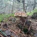 Thomas DouDouay - @thomasdoudouay - Instagram
