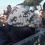 si THOM(҂⌣̀_⌣́) - @thomas_downsize - Instagram