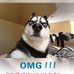 Thomas Downs - Facebook
