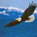Thomas Downson Jully - Facebook