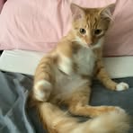 Thomas Doyle - Facebook