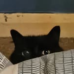 Thomas Dray - @wintercel1_ - Instagram