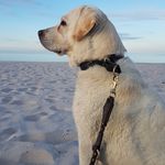 Thomas Drescher - @drescher_thomas - Instagram