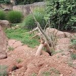 Thomas Drescher - @thomas.drescher.359 - Instagram