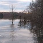 Thomas Drescher - @listeningtocicadas - Instagram