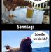 Thomas Dressel - Facebook