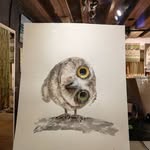 Thomas dressel - @thomas_dressel - Instagram
