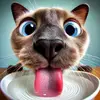 Thomas - @thomasdrink - TikTok