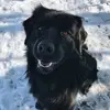 thomasduchominsky - @thomasduchominsky - TikTok