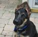 Thomas Duhig - Facebook