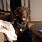 Thomas Dukes - @tds3rd - Instagram