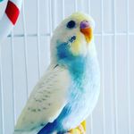 Thomas Dumais - @dumais7279 - Instagram