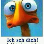 Thomas Dummach - @thomasdummach - Instagram