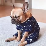 Thomas Dunford - @t.f.dunford - Instagram