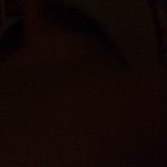 Thomas Dunne - @theonionmane - Instagram