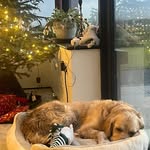 Thomas Dunne - @thomasdunne46 - Instagram