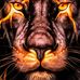 Thomas Dunton - Facebook